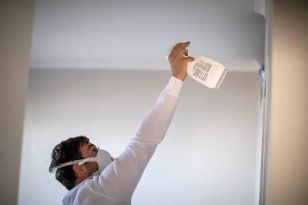 Best Same-Day Mold Removal  in Topton, PA