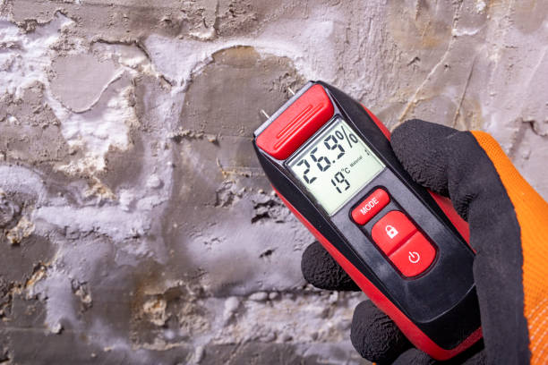Best Fast Mold Removal  in Topton, PA