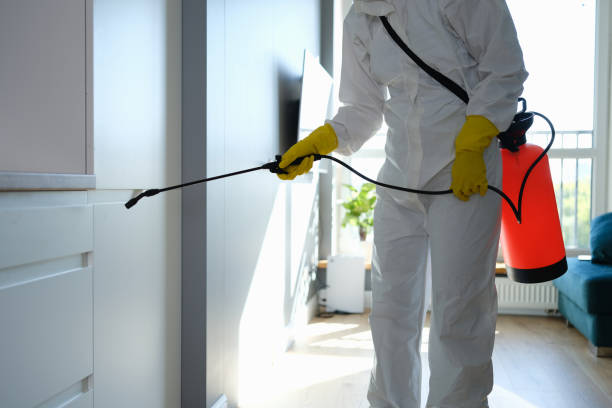 Best Commercial Mold Removal  in Topton, PA