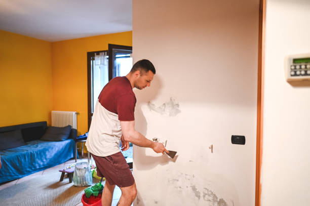 Best Affordable Mold Removal  in Topton, PA